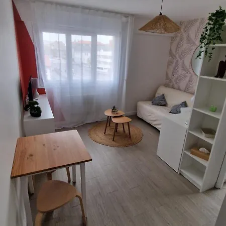 Joli Confort - Proche Centre Апартаменты Клермон-Ферран